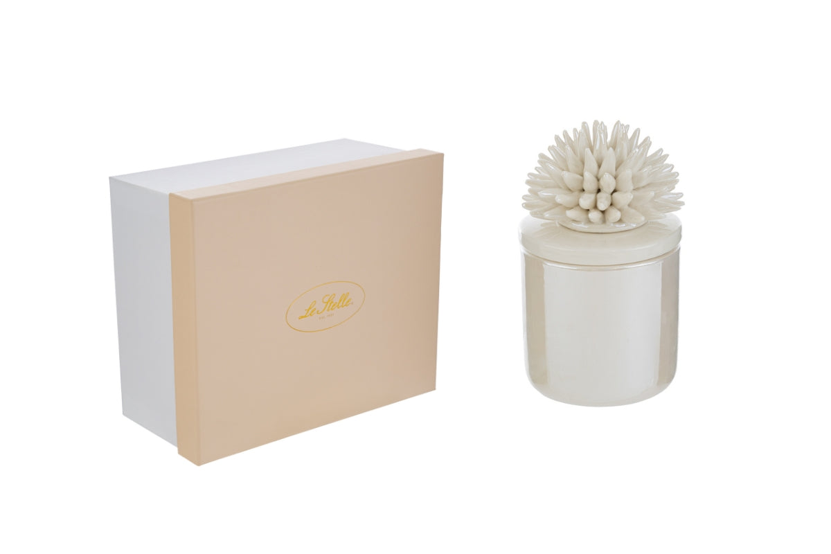 Candela scatola corallo porcellana bianca